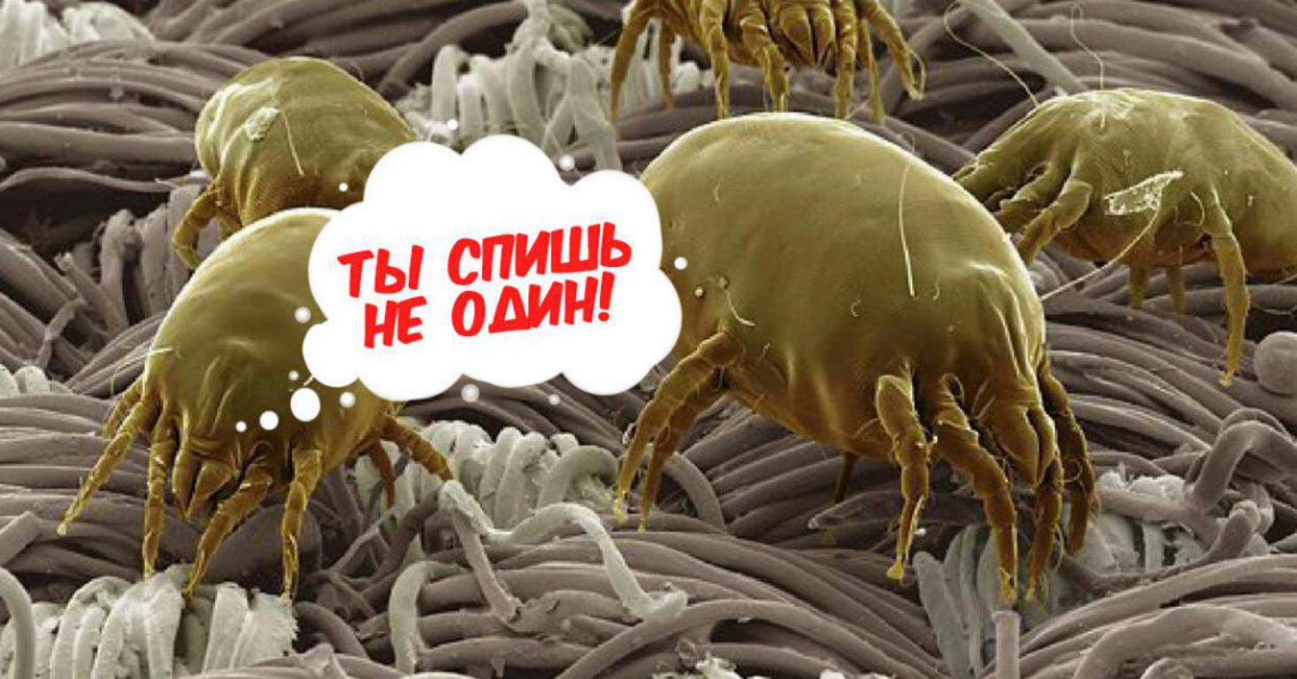матрасы